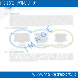 市場と産業調査レポートのイメージ